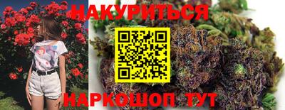 дмт Пенза