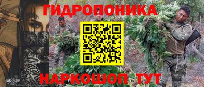 прущие крисы Партизанск