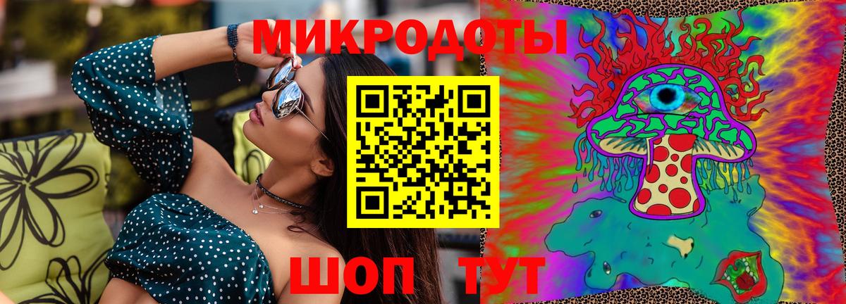 Галлюциногенные грибы MAGIC MUSHROOMS Сланцы