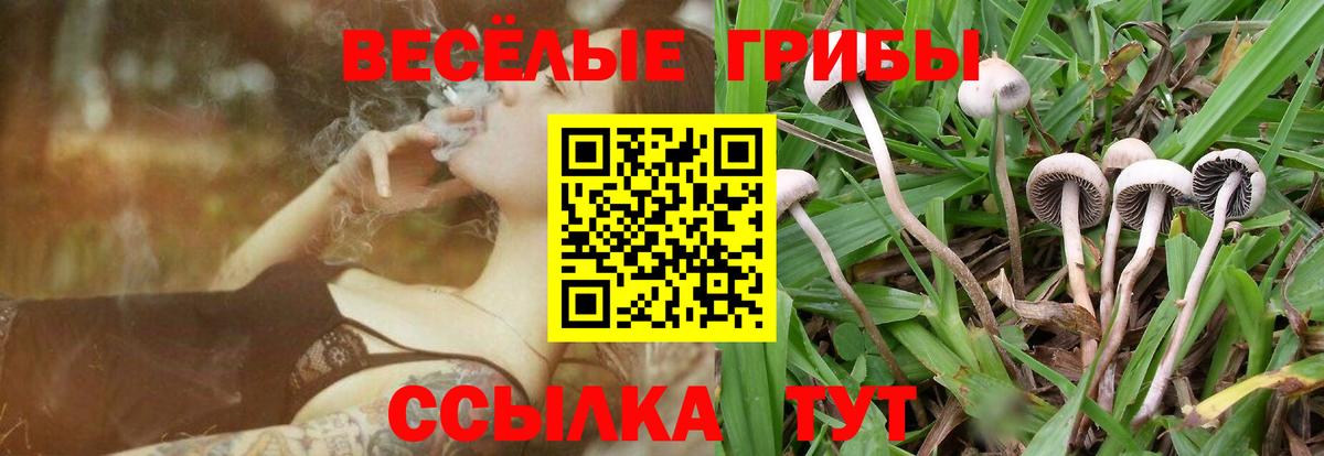 Галлюциногенные грибы ЛСД  Вход с VPN  Псилоцибиновые грибы Magic Shrooms  Сланцы 